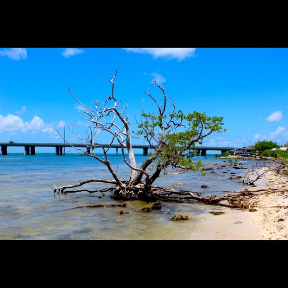 Meet your Posher, Li - Picture 1 of 2